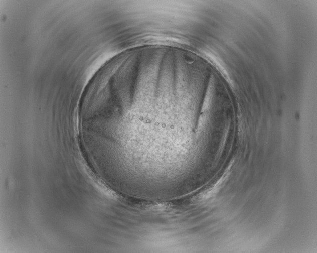 X0000088600891200706081350