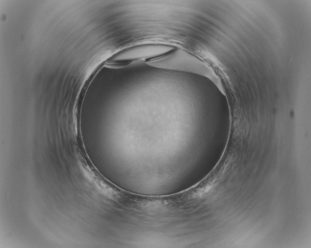 X0000088600892200706081350