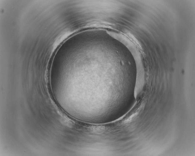 X0000088600893200706081350