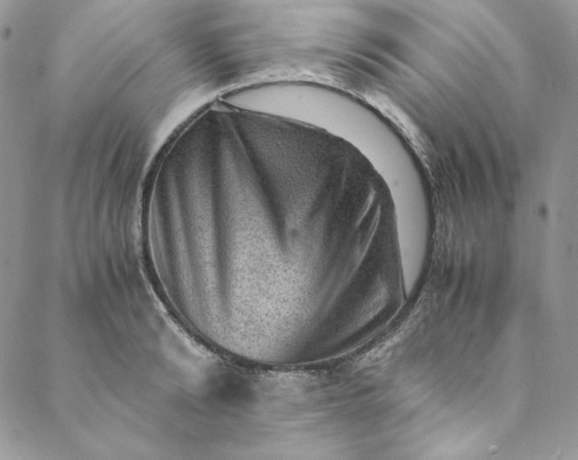 X0000088600894200706081350