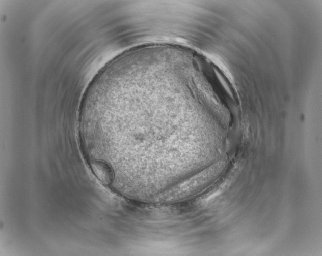 X0000088600895200706081350