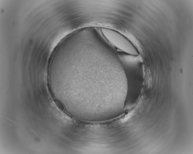 X0000088600896200706081350