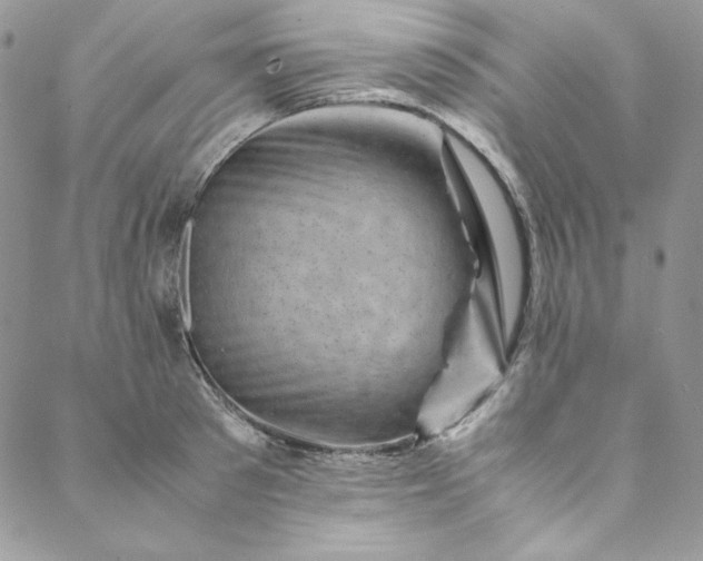 X0000088600897200706081350