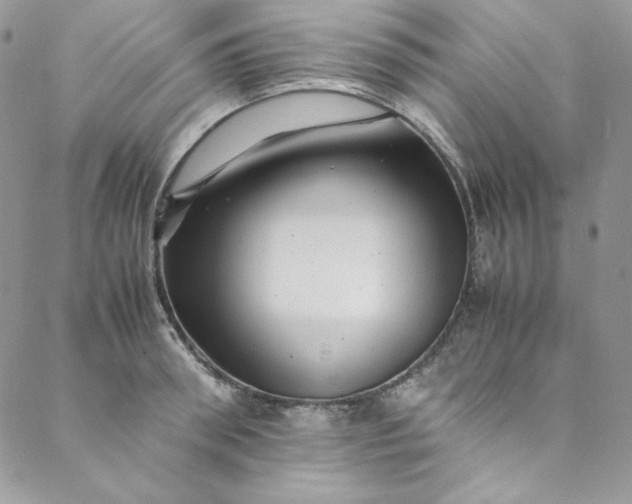 X0000088600898200706081350