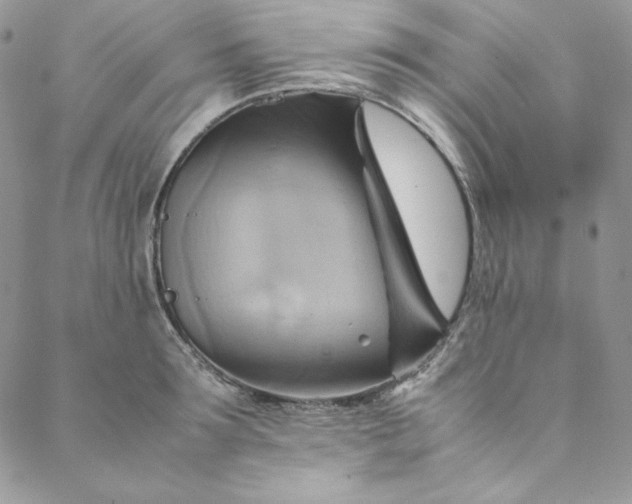 X0000088600899200706081350