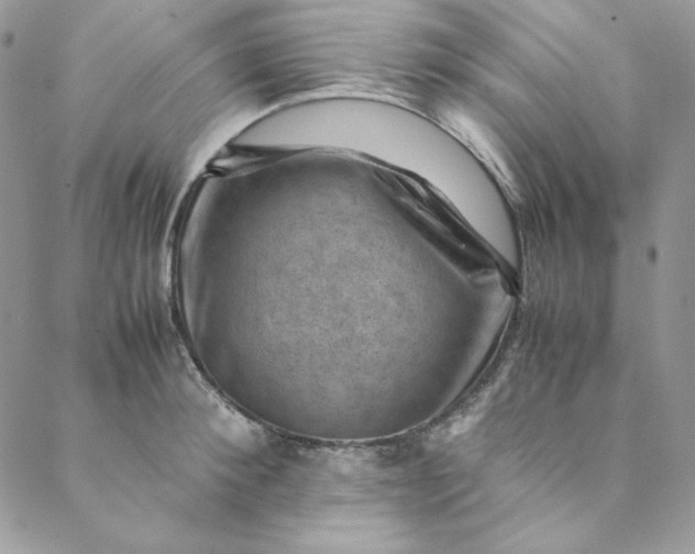 X0000088600900200706081350