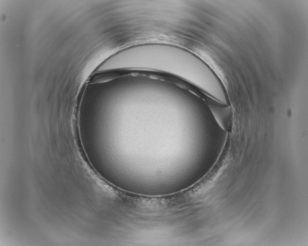 X0000088600901200706081349