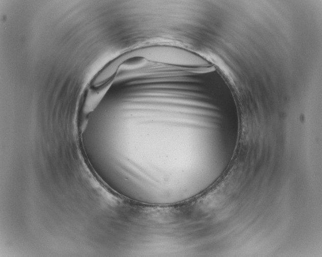 X0000088600902200706081349