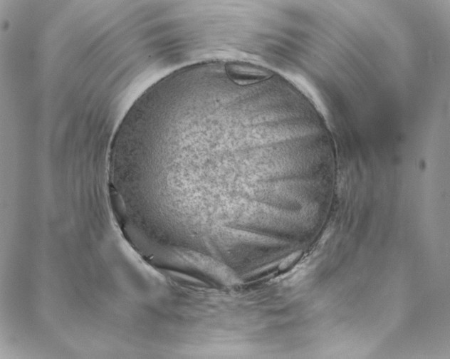 X0000088600903200706081349