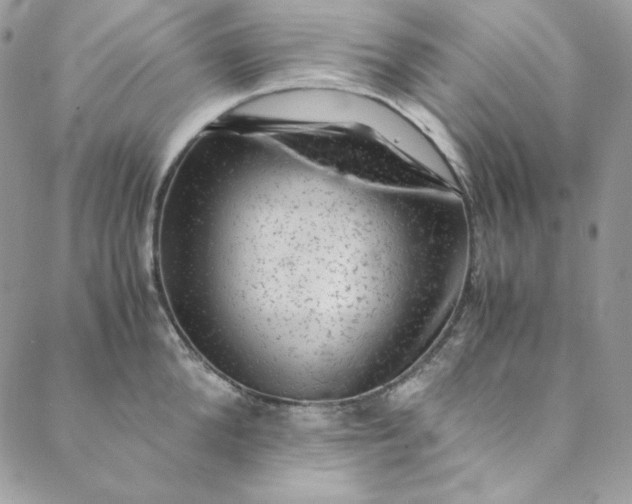 X0000088600904200706081349