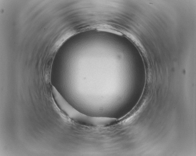 X0000088600905200706081349