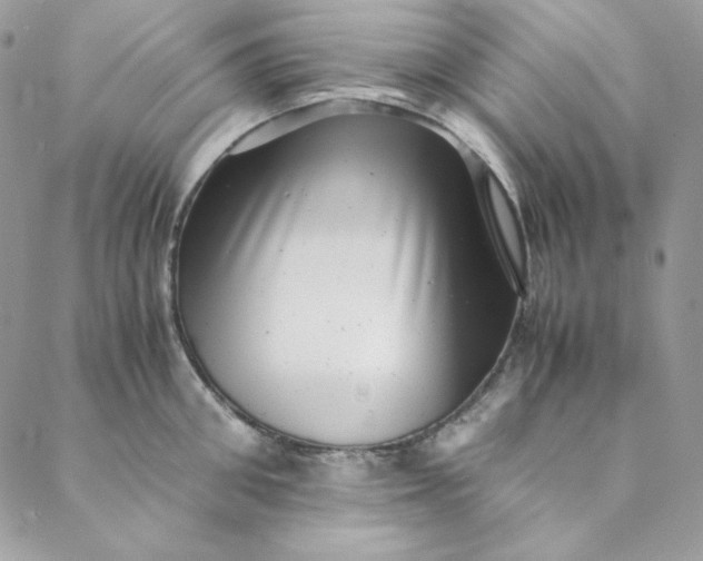 X0000088600906200706081349