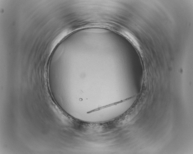 X0000088600907200706081349