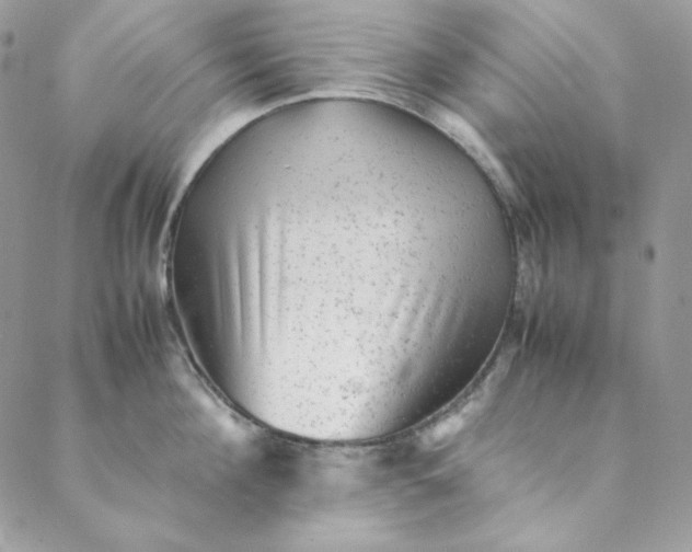 X0000088600908200706081349