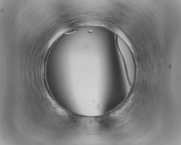 X0000088600909200706081349