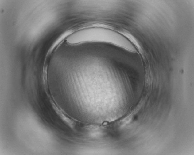 X0000088600910200706081349