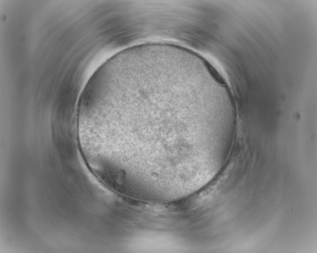 X0000088600911200706081349