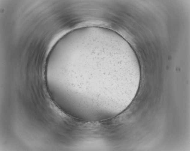 X0000088600912200706081349