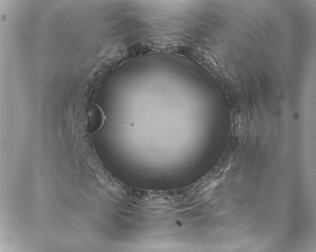 X0000088600913200706081349