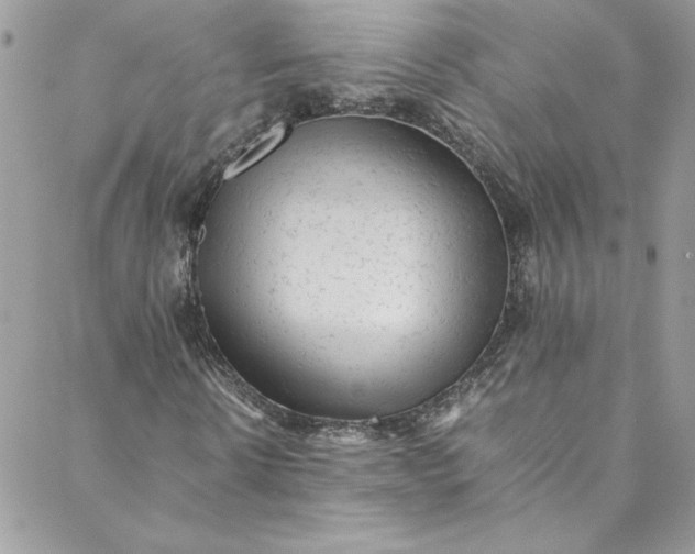 X0000088600914200706081349