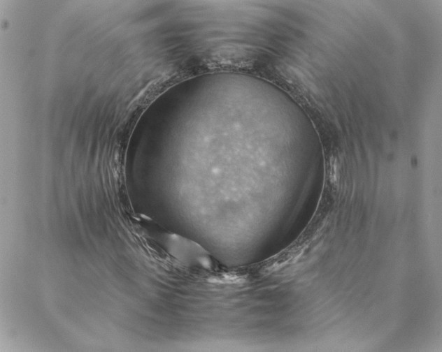 X0000088600915200706081349