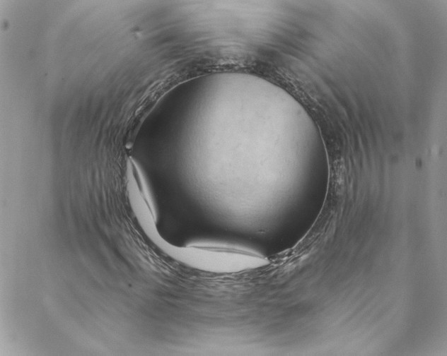 X0000088600916200706081349