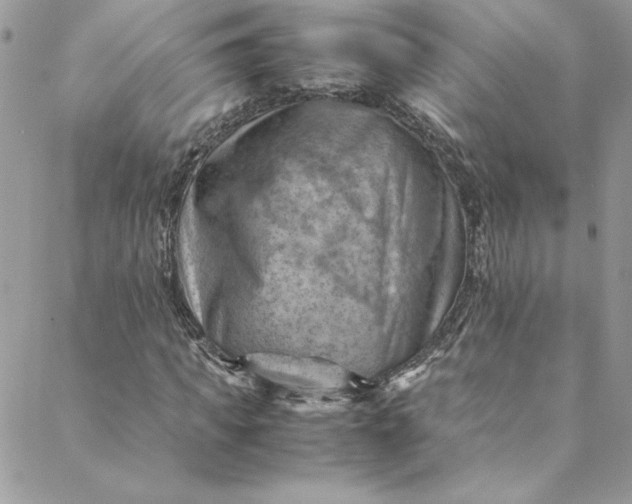 X0000088600917200706081349