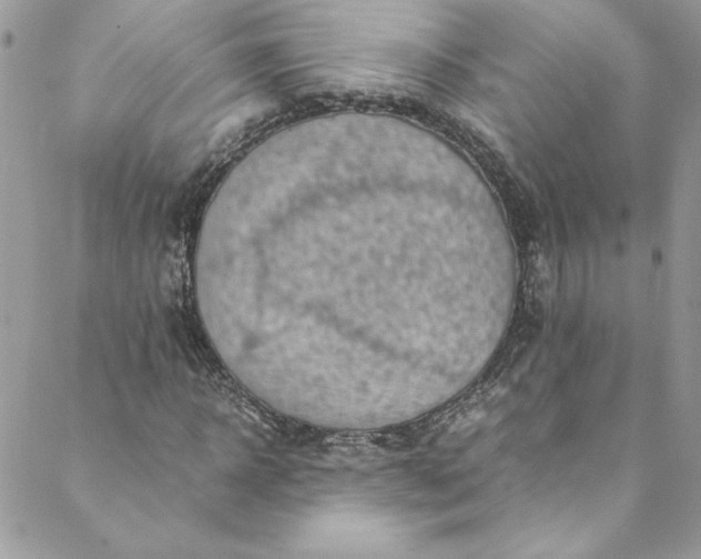 X0000088600918200706081349