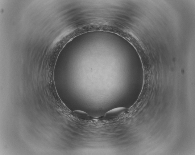 X0000088600919200706081349