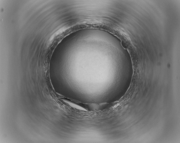 X0000088600920200706081349