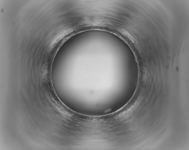 X0000088600922200706081349