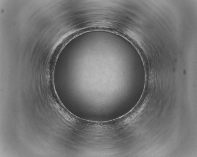 X0000088600923200706081349