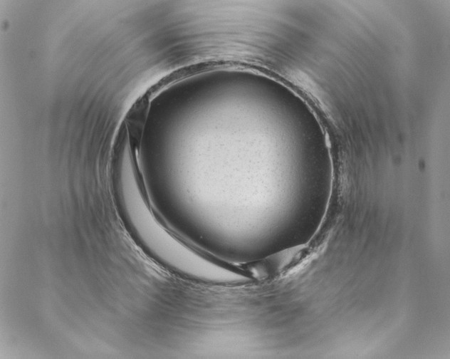 X0000088600924200706081349