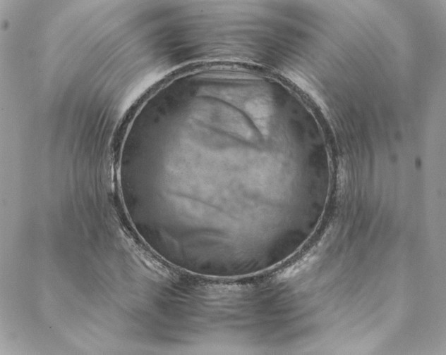 X0000088600925200706081349