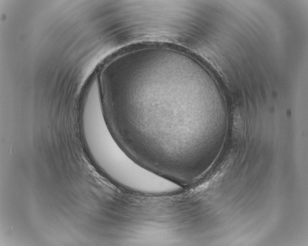 X0000088600926200706081349