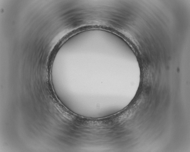 X0000088600927200706081349