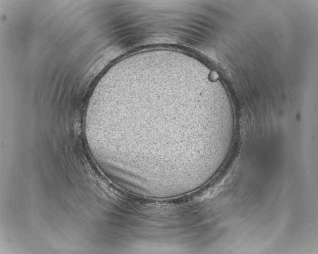 X0000088600929200706081349