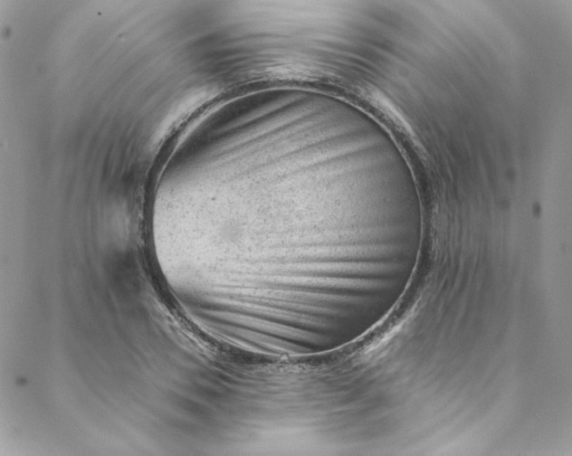 X0000088600930200706081349