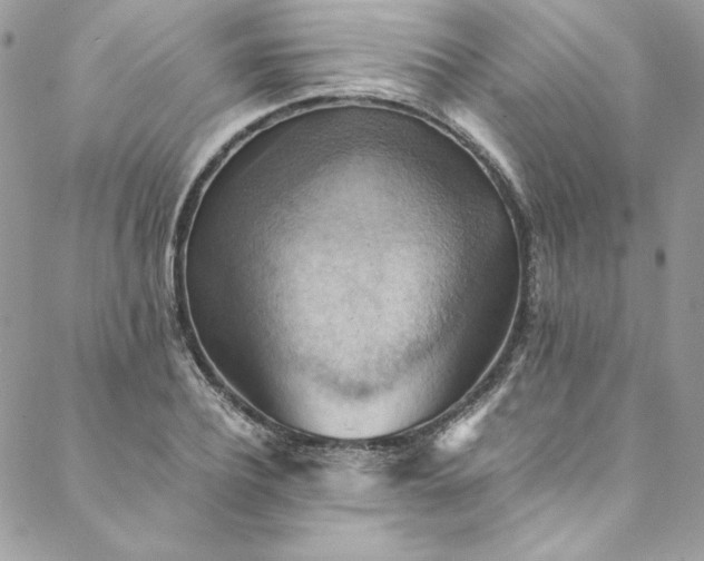 X0000088600932200706081349