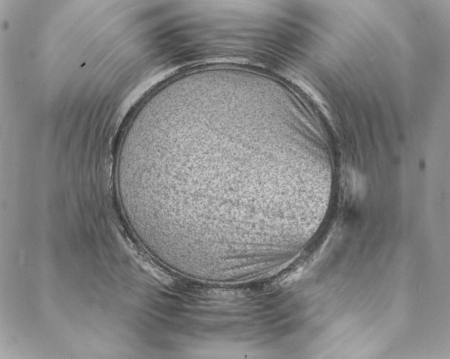 X0000088600933200706081349