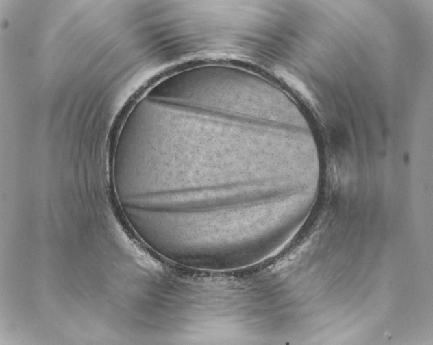 X0000088600934200706081349