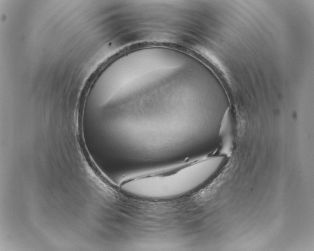 X0000088600935200706081349