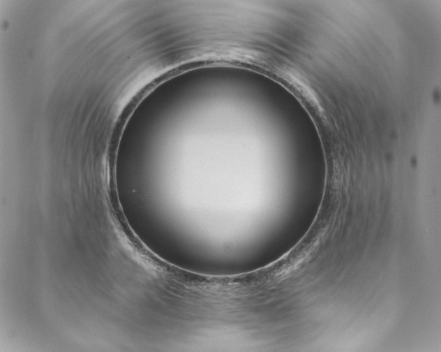 X0000088600936200706081349