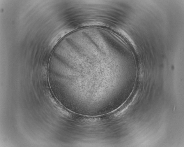 X0000088600937200706081349