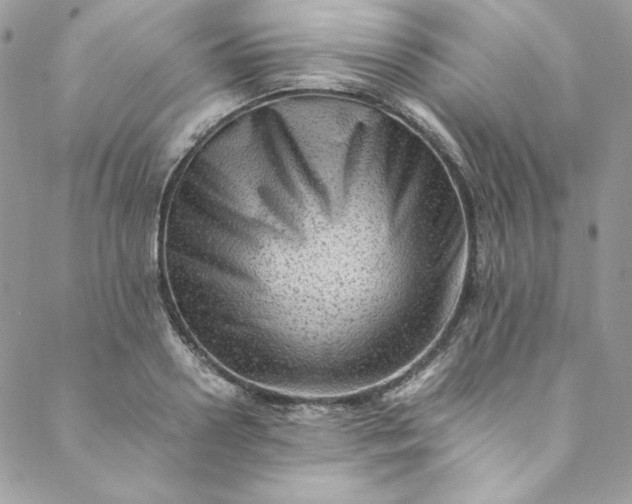 X0000088600938200706081349