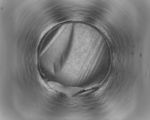 X0000088600939200706081349