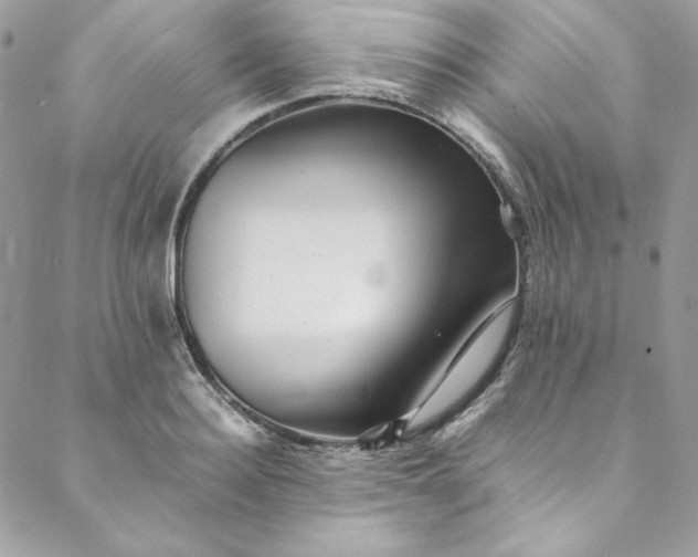 X0000088600940200706081349