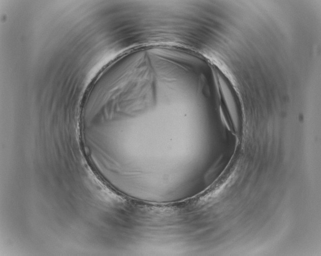 X0000088600941200706081349