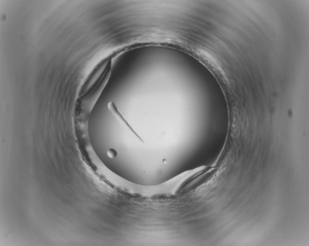 X0000088600942200706081349