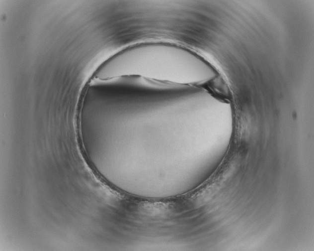 X0000088600943200706081349